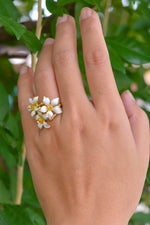 แหวนดอกแก้ว